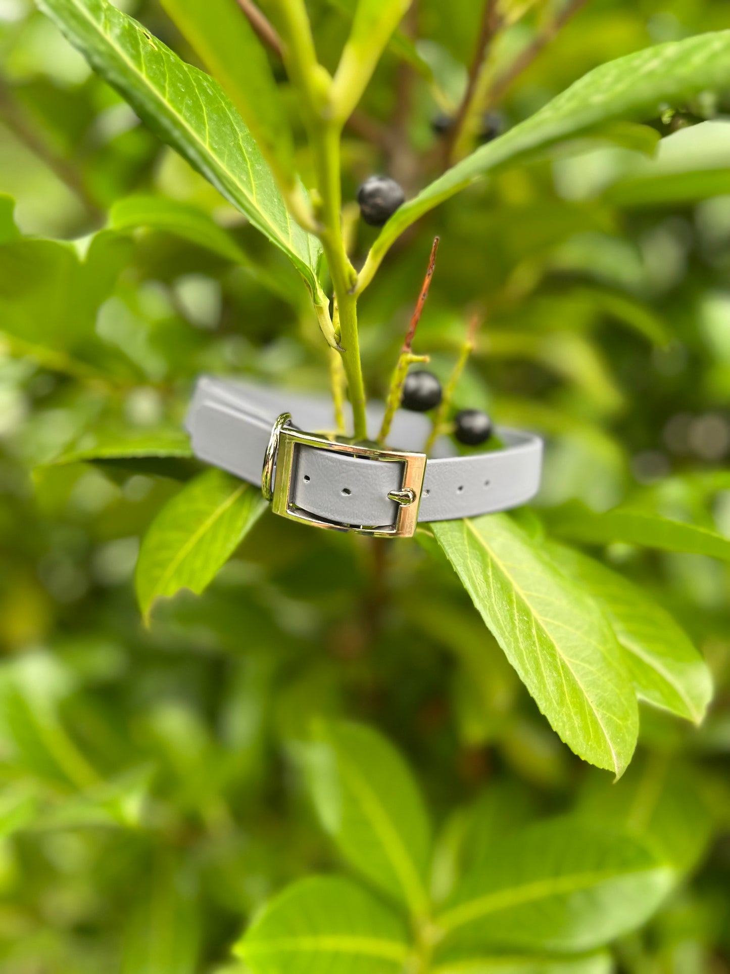 Silver BioThane® Collar