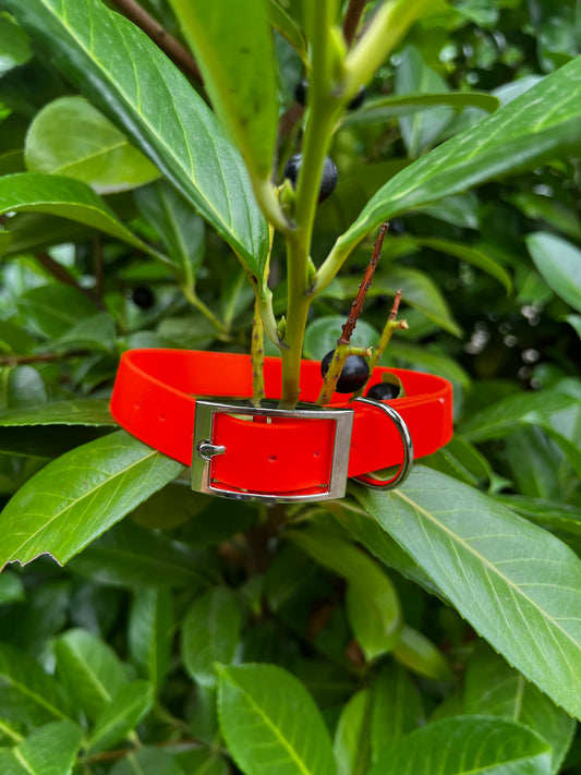 Orange BioThane® Collar