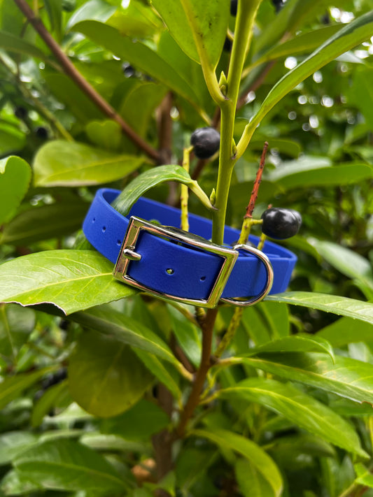 Royal Blue BioThane® Collar