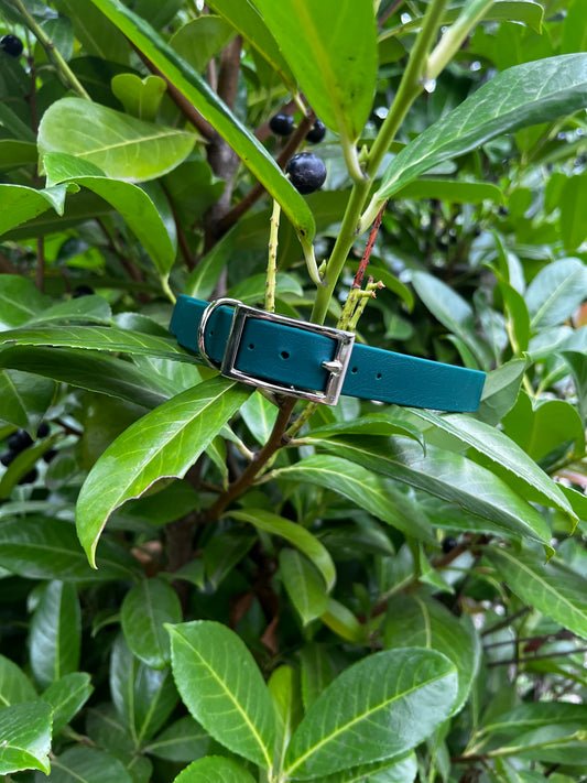 Dark Green BioThane® Collar